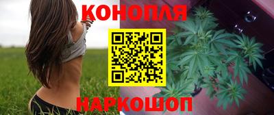 сатива Можга