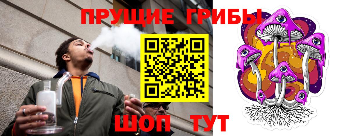 Галлюциногенные грибы мухоморы Томск