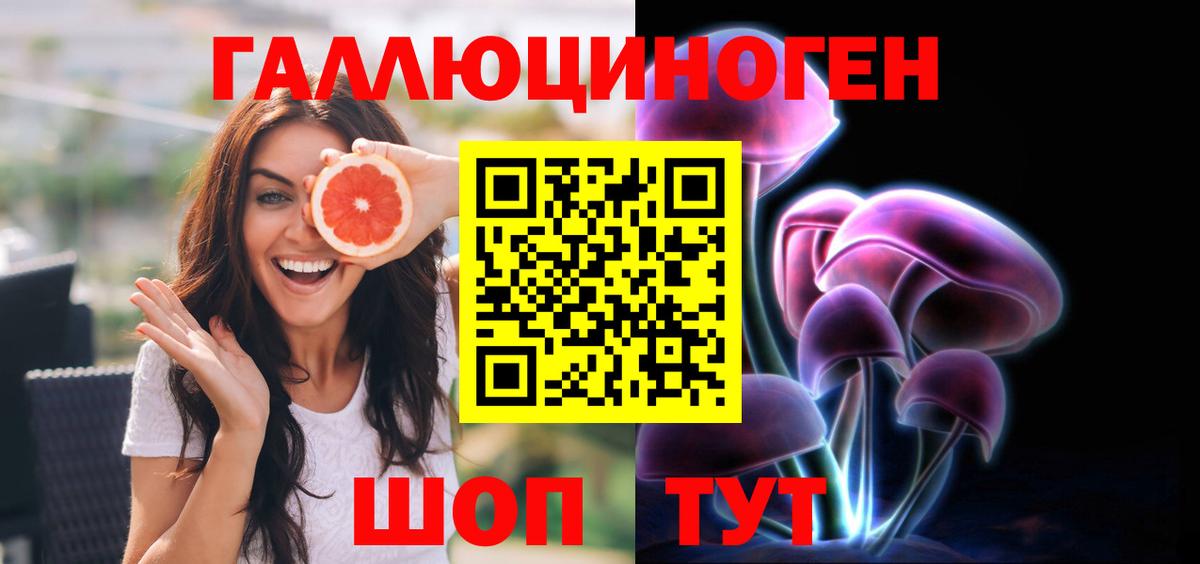 Псилоцибиновые грибы Psilocybe  Вход с VPN  Томск 